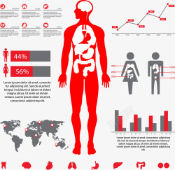 手绘人体健康分析素材