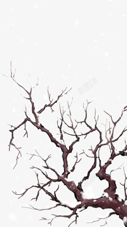 枯枝雪天的树枝手绘高清图片