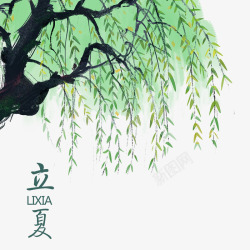 中国传统节气简约立夏节气树荫高清图片