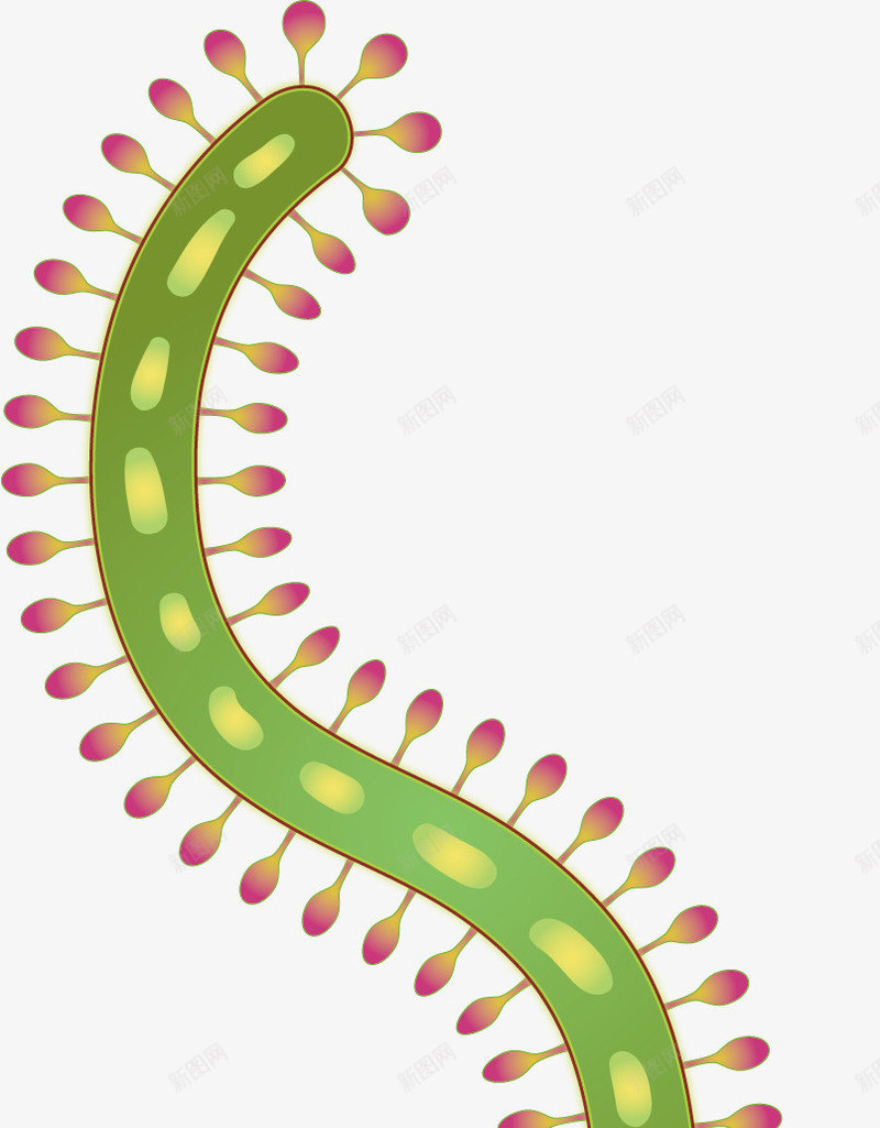 绿色细菌弯曲细胞矢量图ai免抠素材_88icon https://88icon.com 创意 卡通 弯曲 微生物 手绘 水彩 淋巴 生物结构 细胞 细胞结构 结构细胞 设计 矢量图