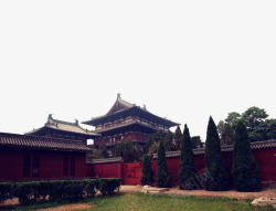 寺院外墙红墙和松树素材