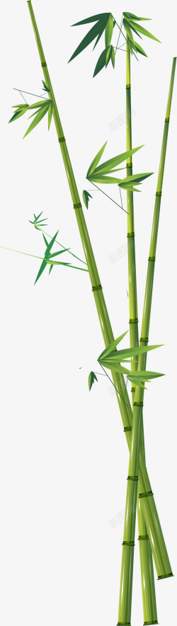 翠绿色竹子手绘素材