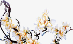 白色手绘花朵富贵素材