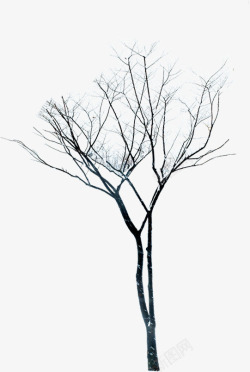 创意合成冬天的树木摄影素材