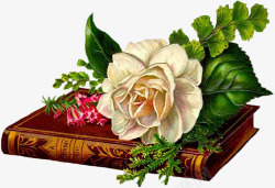 卡通手绘玫瑰花朵书本素材