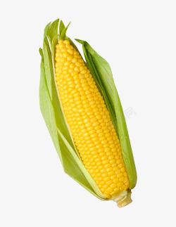 黄色玉米玉米高清图片