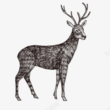 麋鹿图标手绘麋鹿矢量图图标图标