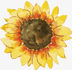 手绘太阳花卡片背景素材