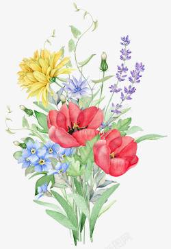 手绘美丽植物花卉素材
