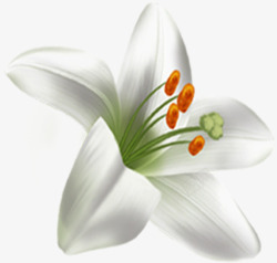 白色淡雅唯美盛开水彩花朵素材