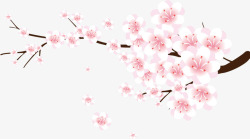 粉红花朵花枝樱花装饰素材