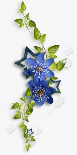 蓝色藤蔓绿叶蓝色花朵气泡漂浮青藤藤蔓高清图片