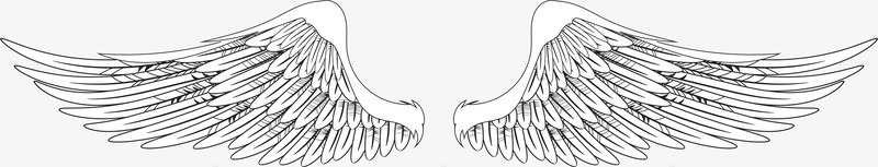 手绘速写天使之翼png免抠素材_88icon https://88icon.com 卡通天使之翼 天使羽翼 天使翅膀 手绘 矢量天使之翼 矢量翅膀 简单速写 翅膀 翅膀翼 速写