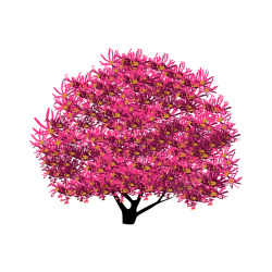 红色树红花檵木绿化树矢量图高清图片