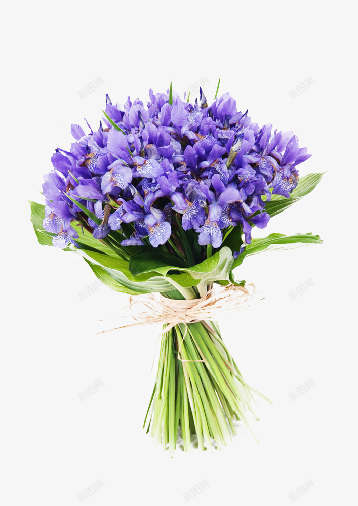 紫色花束png免抠素材_88icon https://88icon.com png图片 植物 祝福 紫色 节日 花束 鲜花