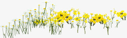 春季黄色郊外花海装饰素材