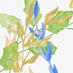 新颖叶子手绘水彩植物叶子图案素素材