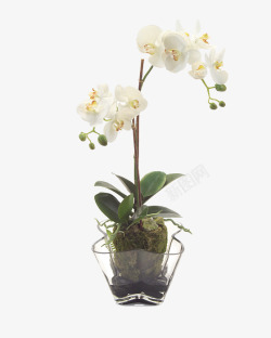 艺术造型插花花艺素材