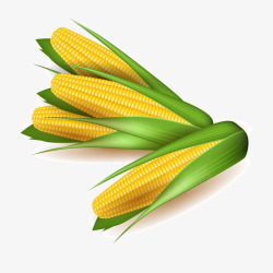 五谷杂粮玉米元素矢量图素材