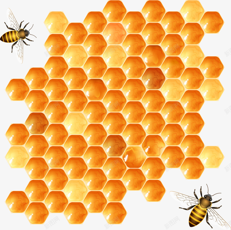 蜜蜂蜂巢png免抠素材_88icon https://88icon.com 昆虫世界 矢量素材 营养品 蜂巢 蜂窝 蜂胶 蜂蜜 蜜蜂 蜜蜂窝 蜜蜂蜂巢设计 补品 食品广告元素