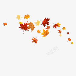 秋天纷纷飘落的枫叶素材