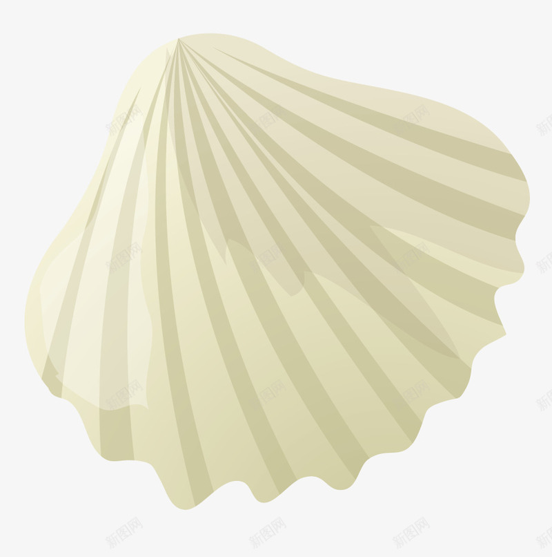 一个白色的贝壳png免抠素材_88icon https://88icon.com 动漫动画 卡通手绘 手绘贝壳 白色贝壳 装饰图 贝壳