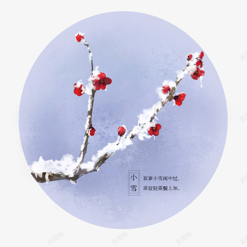 冬天雪中梅花盛开psd免抠素材_88icon https://88icon.com 冬天 冬季 梅花 雪地