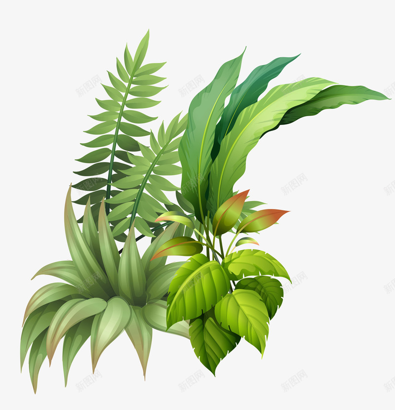 卡通手绘夏季绿色植物psd免抠素材_88icon https://88icon.com 卡通 夏天 常青 手绘 春天 树叶 植物 绿色