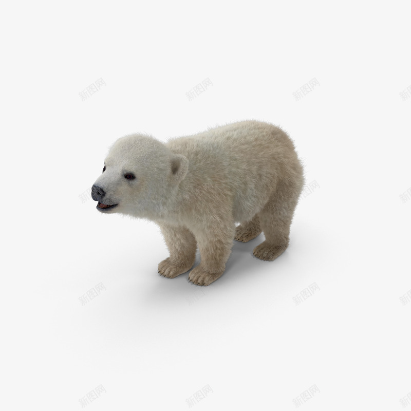 灰北极熊png免抠素材_88icon https://88icon.com 冬季 冷 冻原 动物 北部 哺乳动物 捕食者 极性 毛皮 毛茸茸的 熊 白色 自然 艺术 行走的熊 野生动物 食肉动物