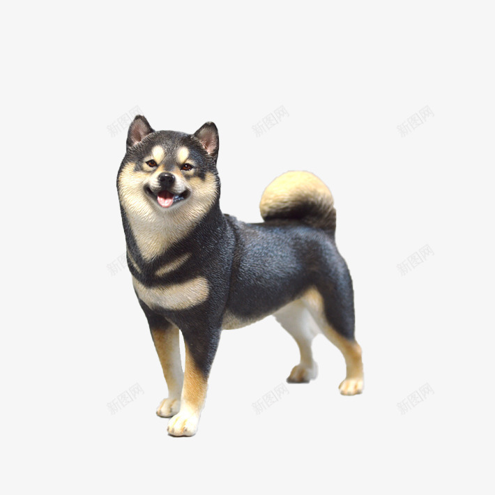 犬影村柴犬狗模型psd免抠素材_88icon https://88icon.com 仿真柴犬 家居摆件 手办 手办模型 模型 犬影村 狗模型 礼品 装饰