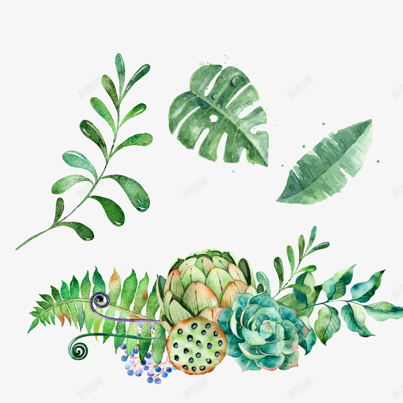 手绘植物睡莲蓝色叶子psd免抠素材_88icon https://88icon.com 手绘植物 树枝png 水彩枝叶 水彩树叶 水彩植物 水花莲花 羽毛状枝条 蓝色叶子