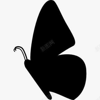 黑色设计蝴蝶的侧面形状图标图标