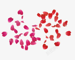 粉色红色月季花瓣装饰图案素材