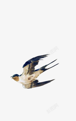 卡通飞禽手绘飞翔的燕子高清图片