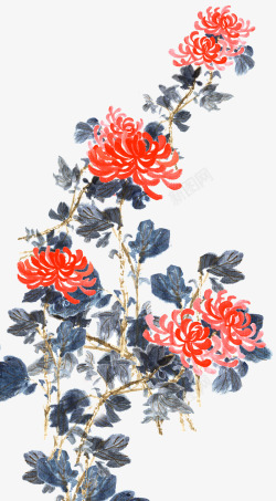 中国风手绘菊花装饰图案素材