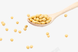 黄色的豆子散落的黄豆高清图片