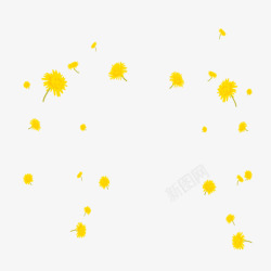 重阳节黄色菊花装饰免素材