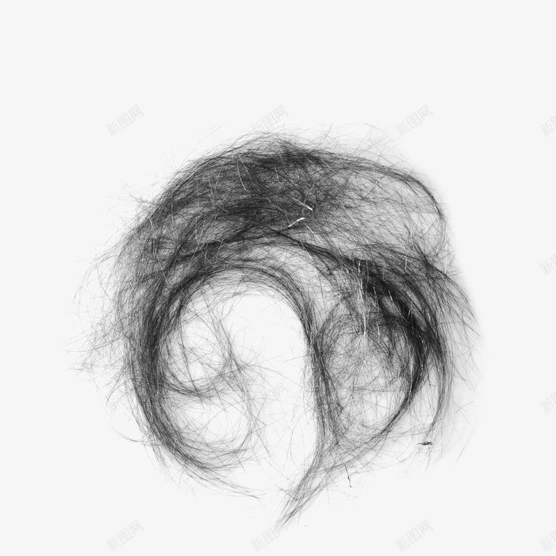 真实头发png免抠素材_88icon https://88icon.com 发丝 头发 头发笔刷 女士发型 真实头发
