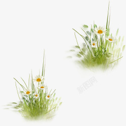 春天草坪草地草坪绿草高清图片