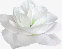 白色花背景装饰花艺素材