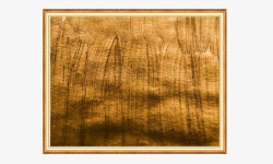 金色金属光泽装饰底图素材