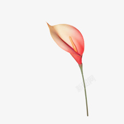 一片小红花素材