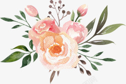玫瑰花水墨花朵装饰案高清图片