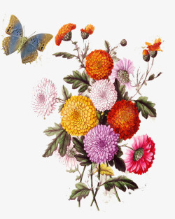 手绘风格天空图唯美欧式复古花卉图案高清图片