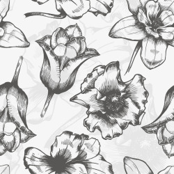 古典花纹花纹插画背景素材