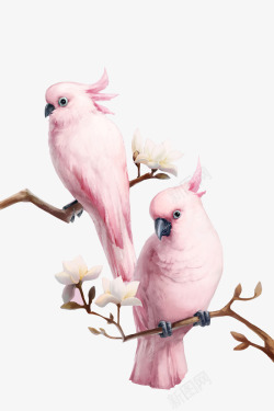 粉色鹦鹉鸟类树干手绘图素材
