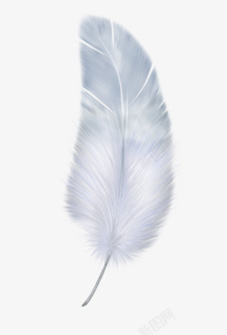清新优雅白色的羽毛高清图片