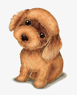 棕色耳朵棕色小狗高清图片