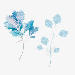 蓝色淡雅小清新植物素材