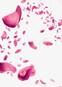 玫瑰瓣飘零场景情人节粉色玫瑰瓣飘零布景高清图片